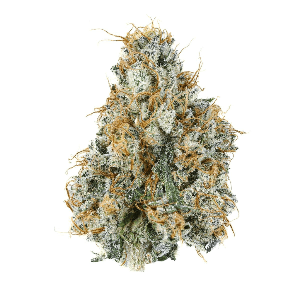 Trenchtown Gary Payton, flower at Trenchtown Cannabis