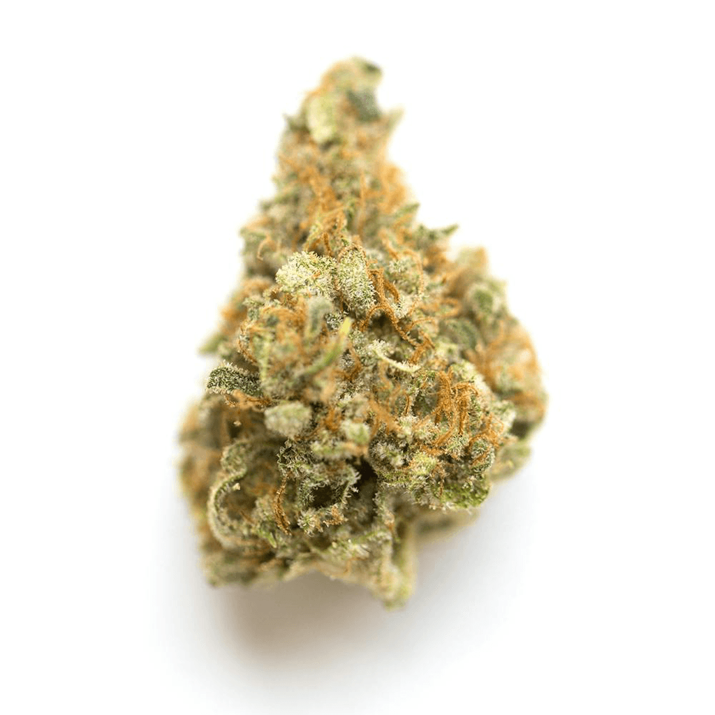 Trenchtown MAC, flower at Trenchtown Cannabis