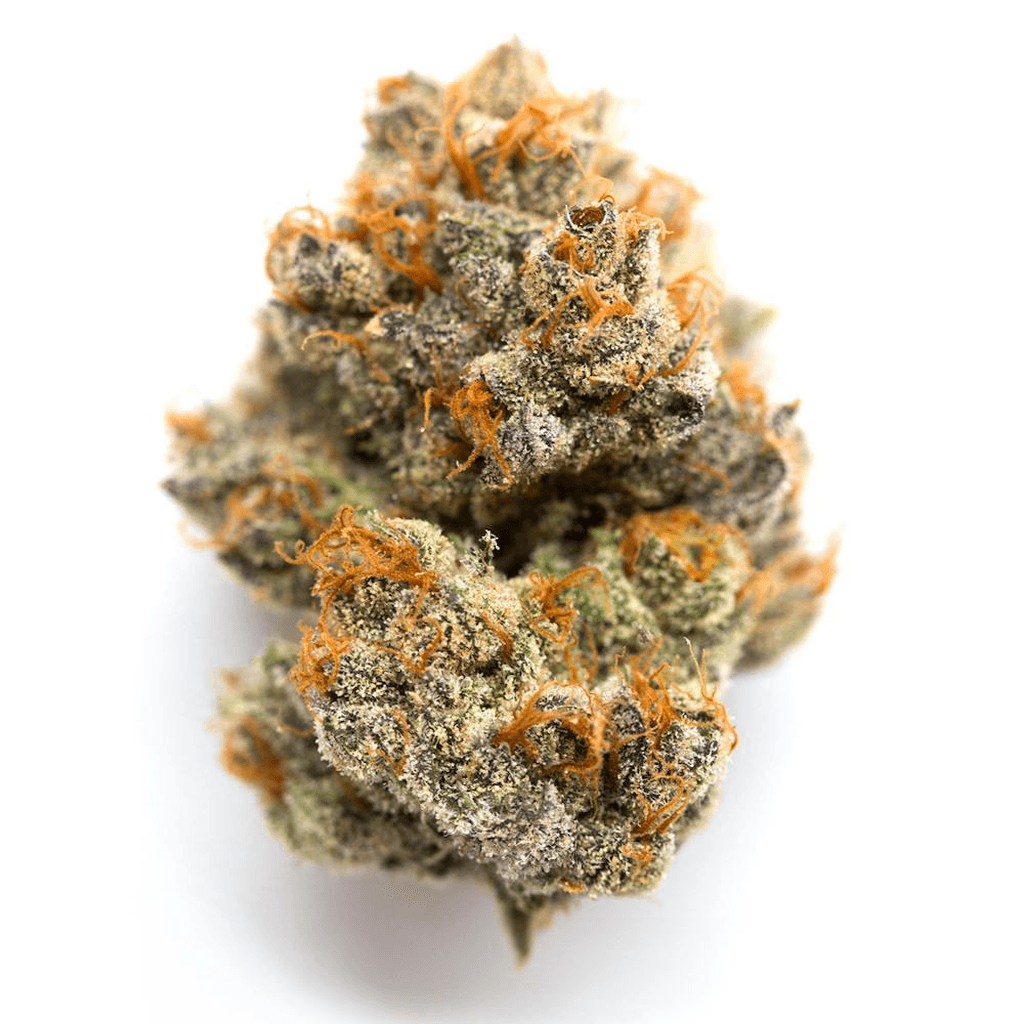 Trenchtown Sour Jungle, flower at Trenchtown Cannabis