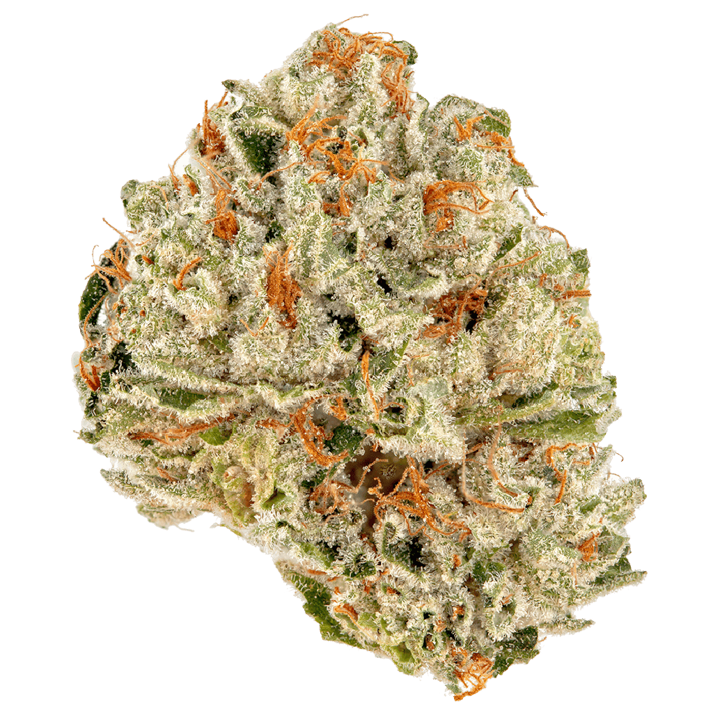 Trenchtown Perm Chimera, flower at Trenchtown Cannabis