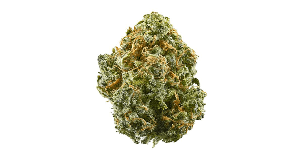 Trenchtown Blue Dream, flower at Trenchtown Cannabis