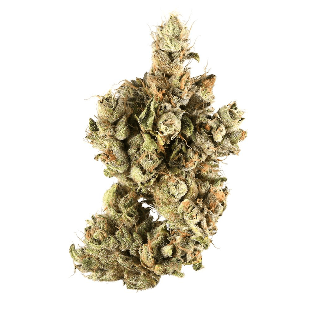 Trenchtown Pre-98 Bubba, flower at Trenchtown Cannabis