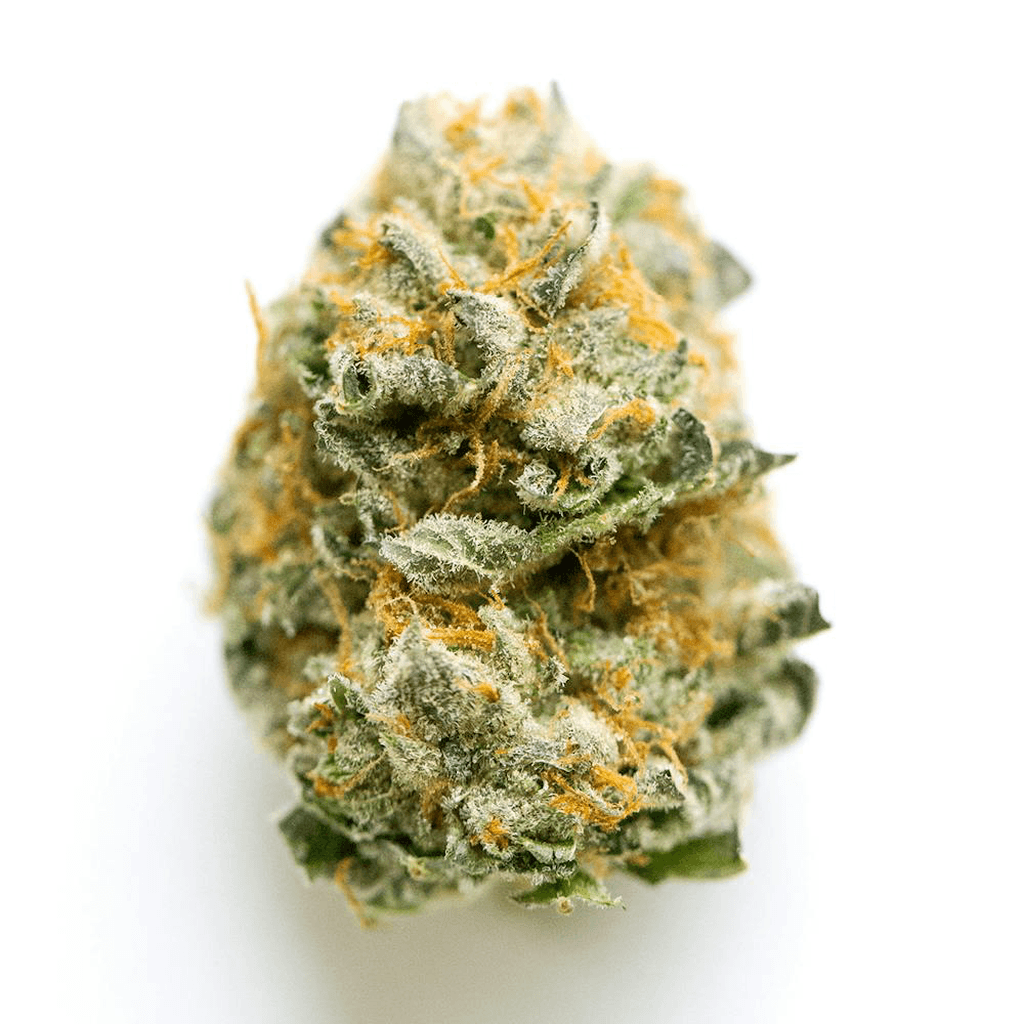 Trenchtown White 99, flower at Trenchtown Cannabis